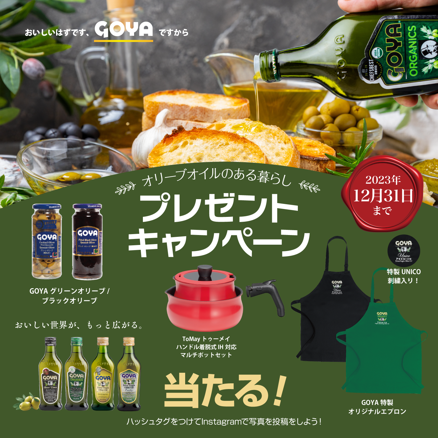 goya-campaign-banner-SNS